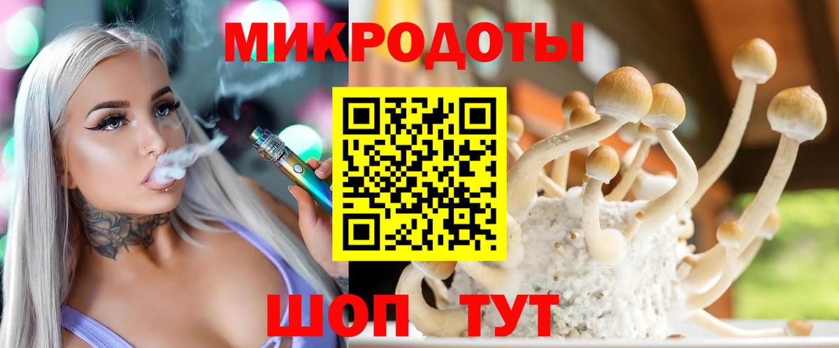 Псилоцибиновые грибы Cubensis Рубцовск